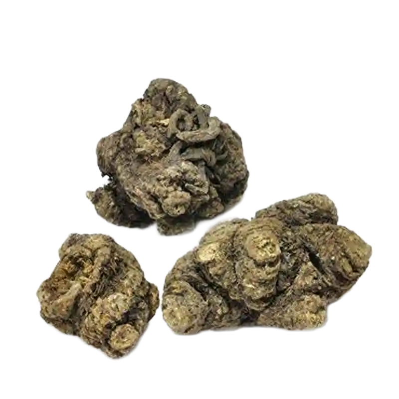 Chinese Lovage (Gao Ben)