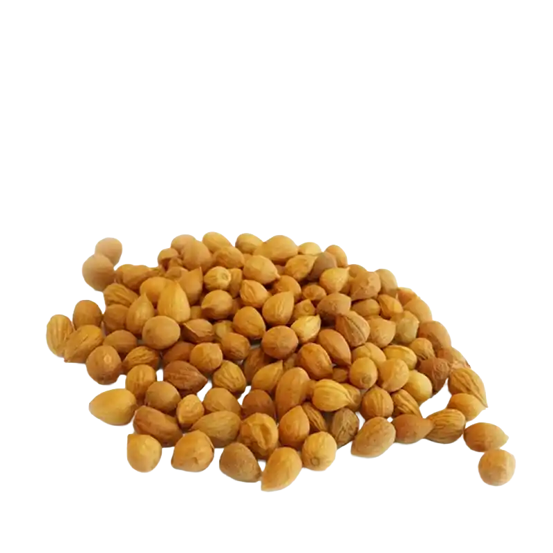 Bush Cherry Seed (Yu Li Ren)