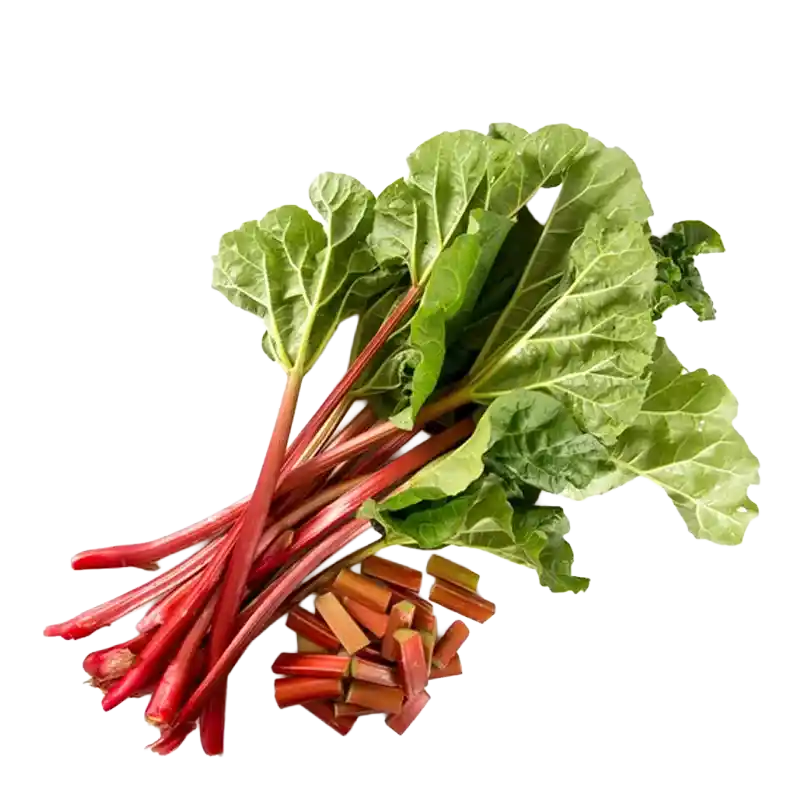 Chinese Rhubarb (Da Huang)