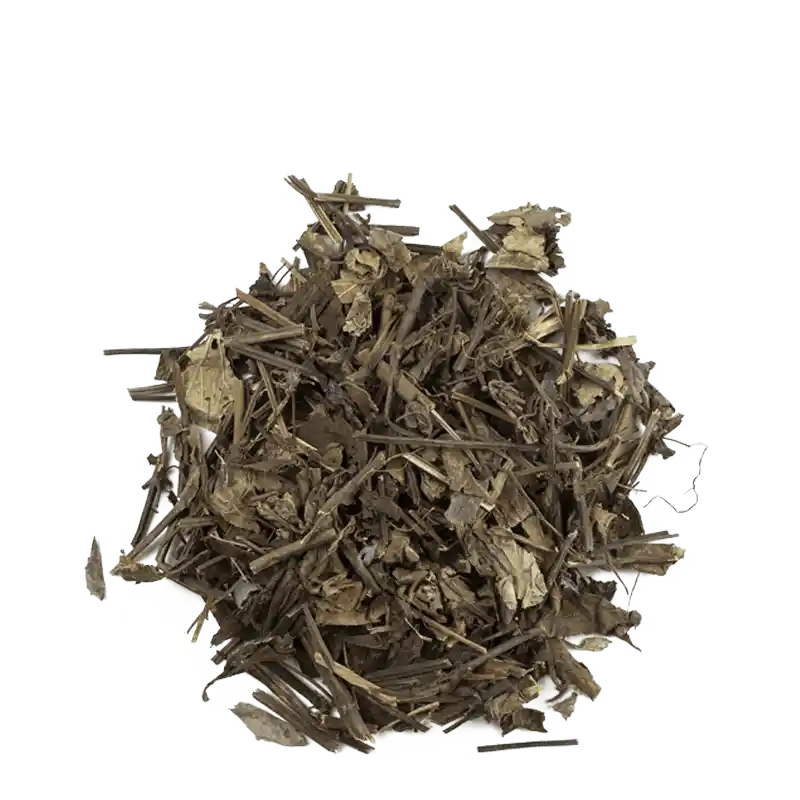 Chinese Sage (Shi Jian Chuan)