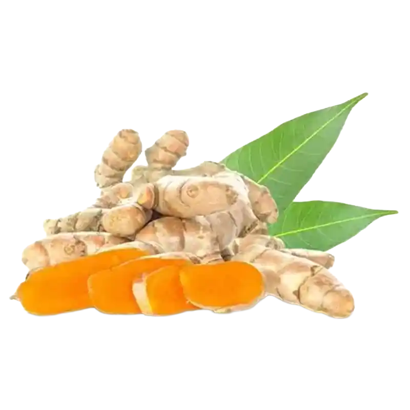 Mango Ginger (Amragandha)