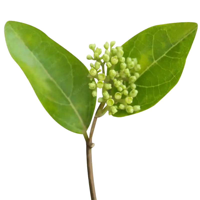 Agnimantha