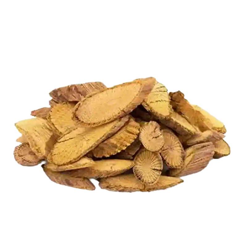 Tree Turmeric (Daruharidra sp.)