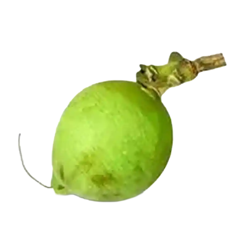Wild Guava (Kumbhi)