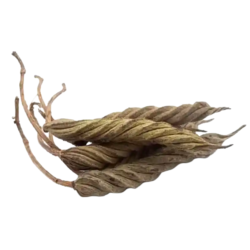 Indian Screw Tree (Marorphali)