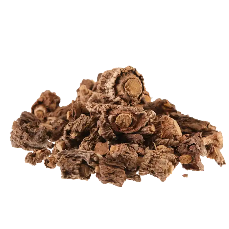 Indian Sarsaparilla (Anantamul)
