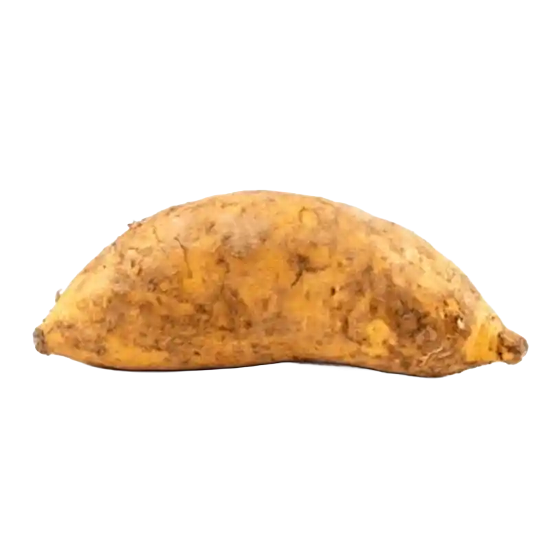 Giant Potato (Vidari-type)