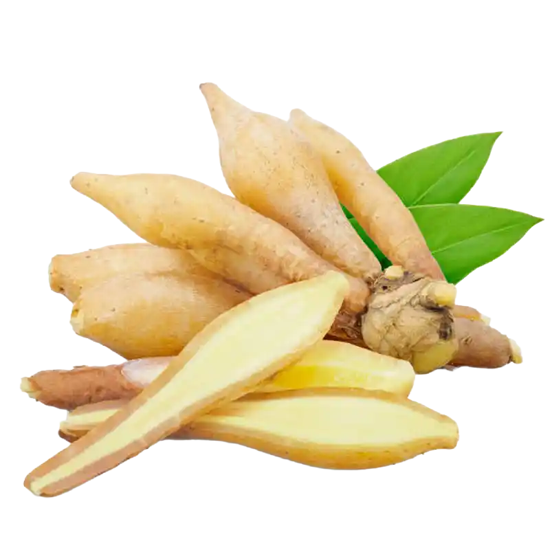 Aromatic Ginger (Chandramulika)