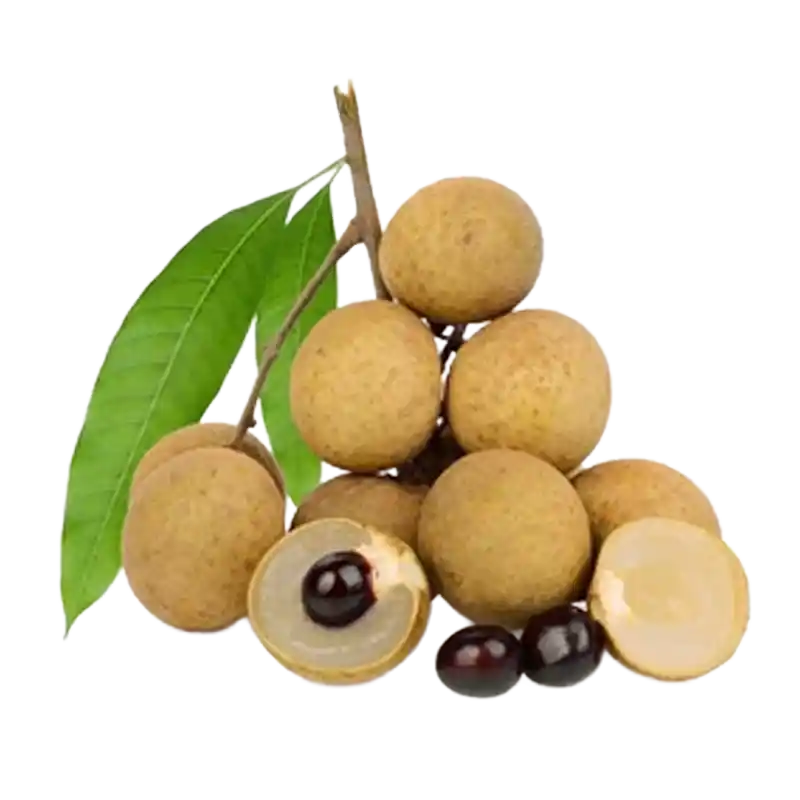 Soapnut (Reetha / Arishtaka)