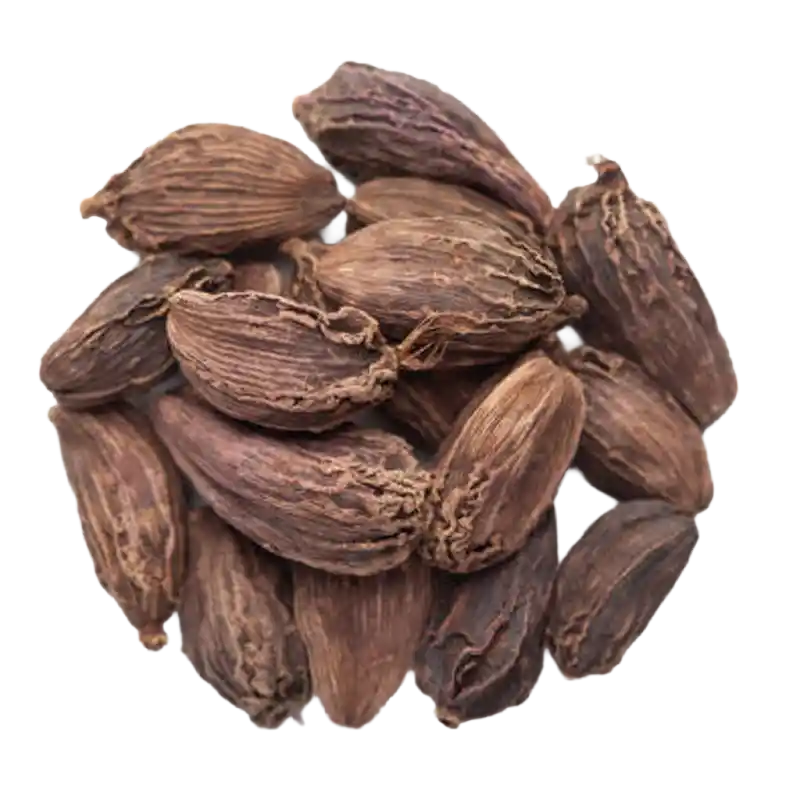 Black Cardamom (Badi Elaichi)