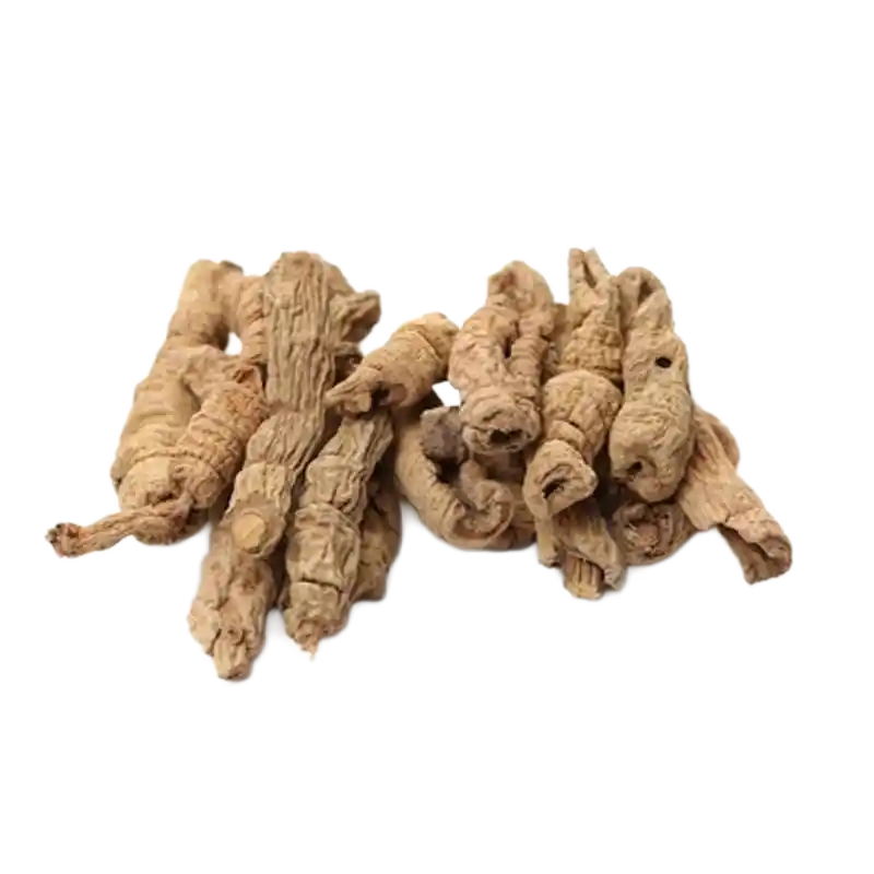 Morinda Root (Bajitian)