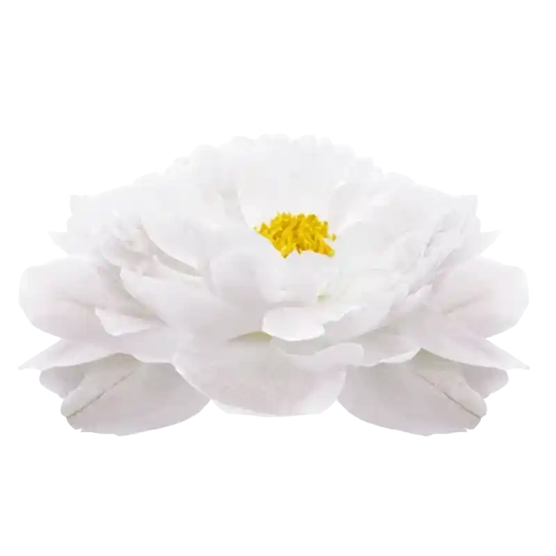 Perilla (Zisu)