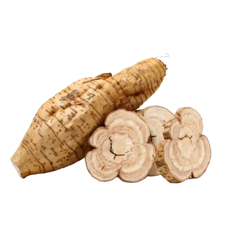 Kudzu Root (Gegen)