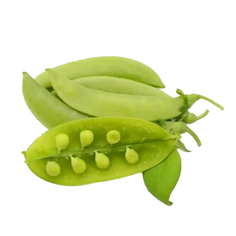 Sword Bean (Daodou)
