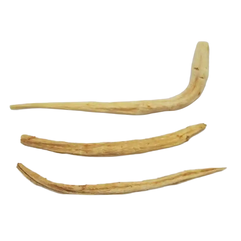 Changium (Mingdangshen)