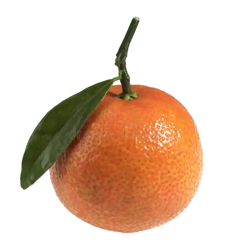Tangerine Peel (Chenpi)