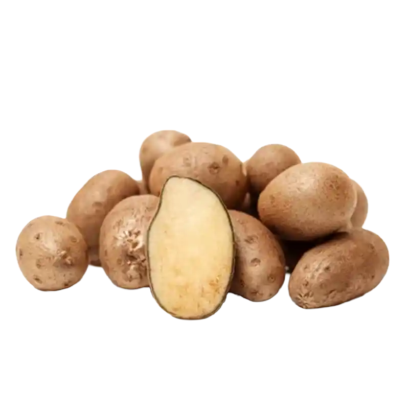 Chinese Yam (Shanyao)