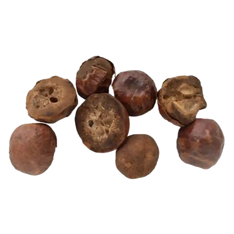 Sichuan Chinaberry Fruit (Chuanlianzi)