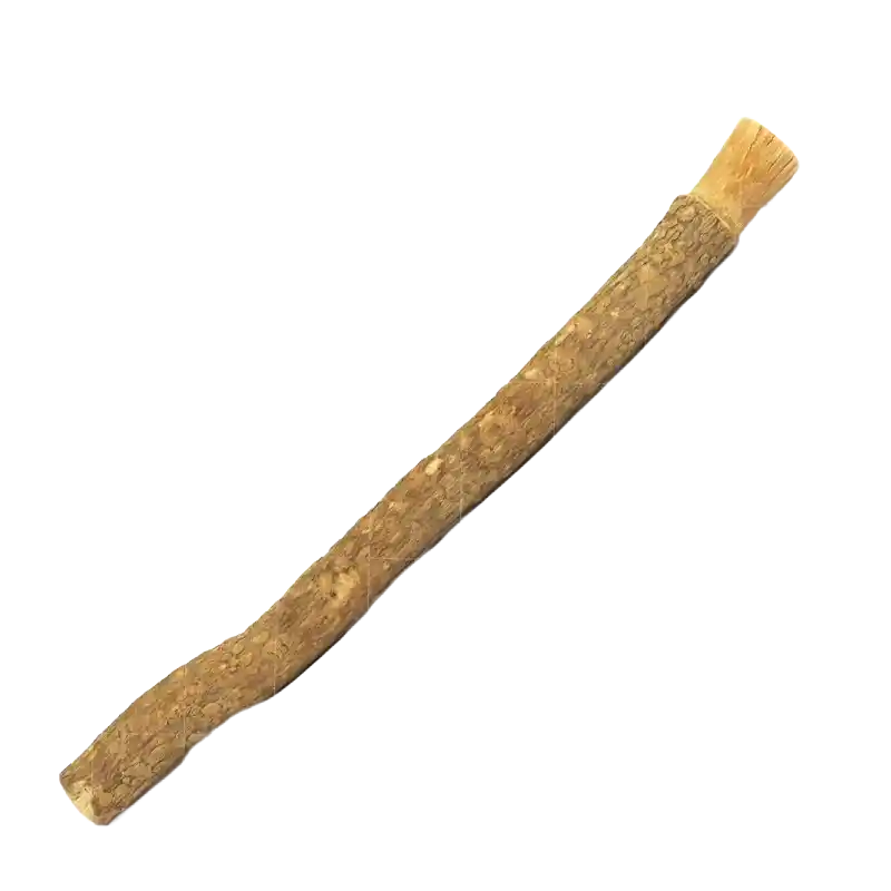 Toothbrush Tree (Miswak / Arak)