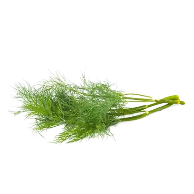 Indian Dill (Sowa)
