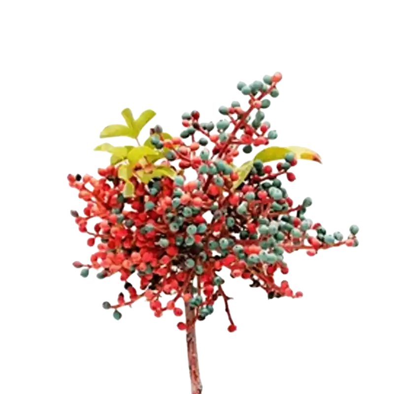 Terebinth (Butm)