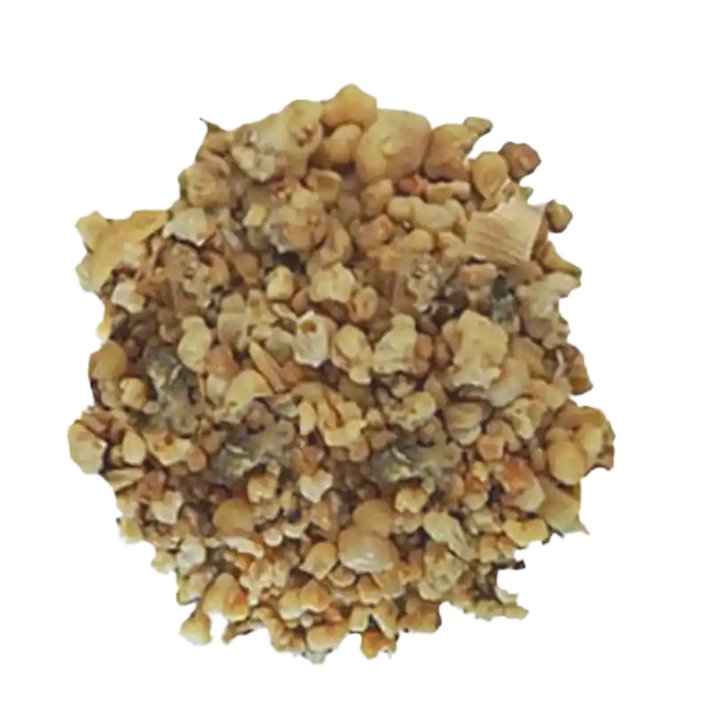 Gum Ammoniac Plant