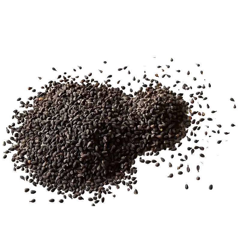 Black Caraway (Kala Zeera)
