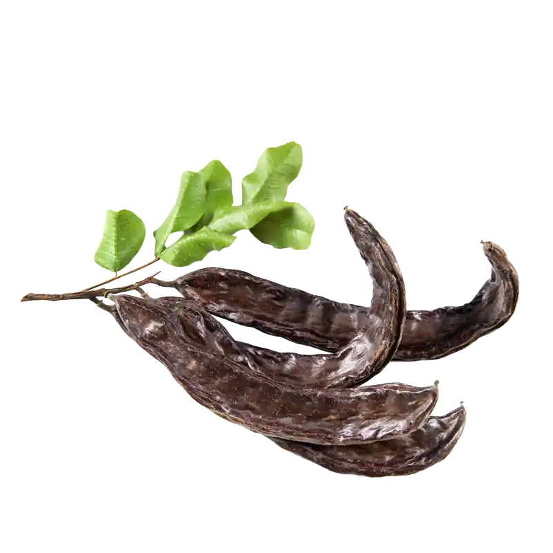 Wild Carob