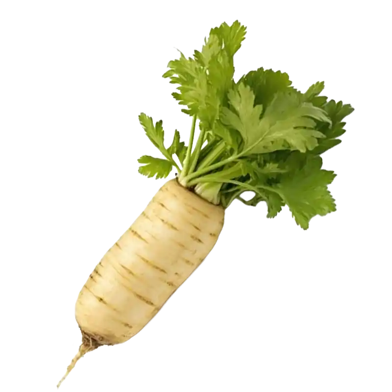 Wild Parsnip