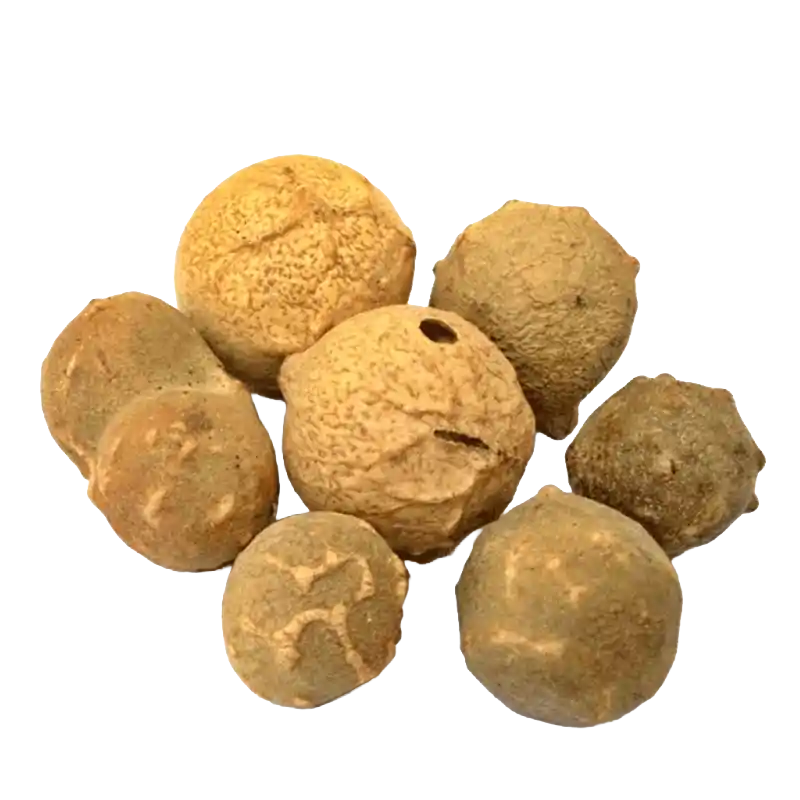 Aleppo Oak Gall (Manjakani)