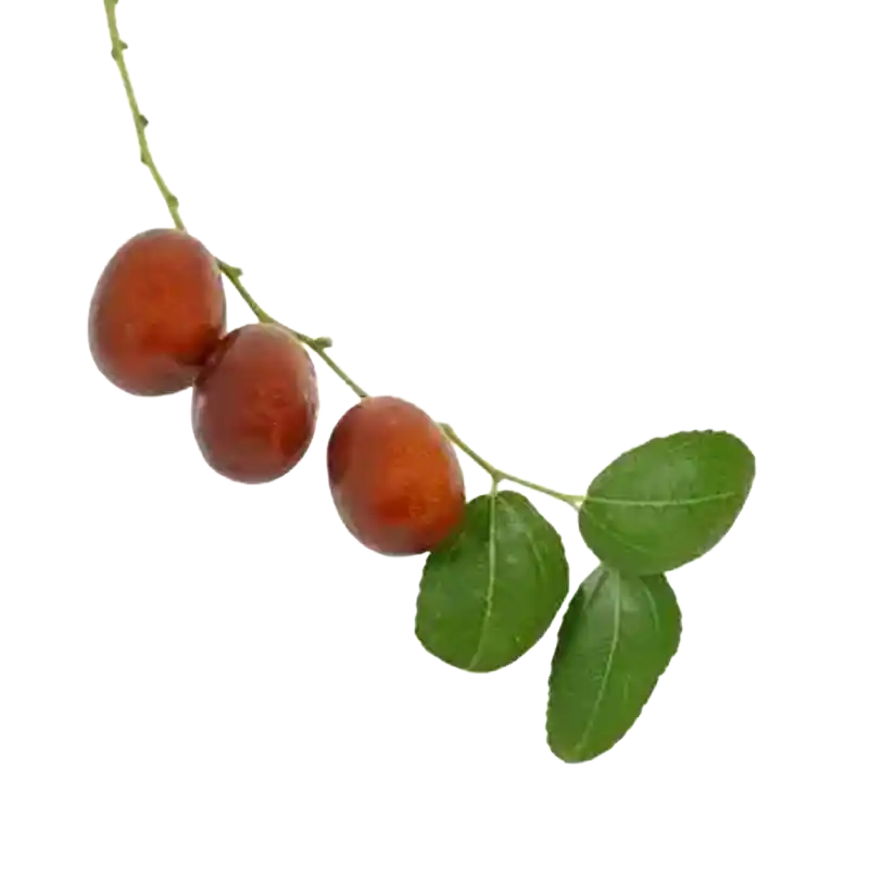 Buffalo Thorn
