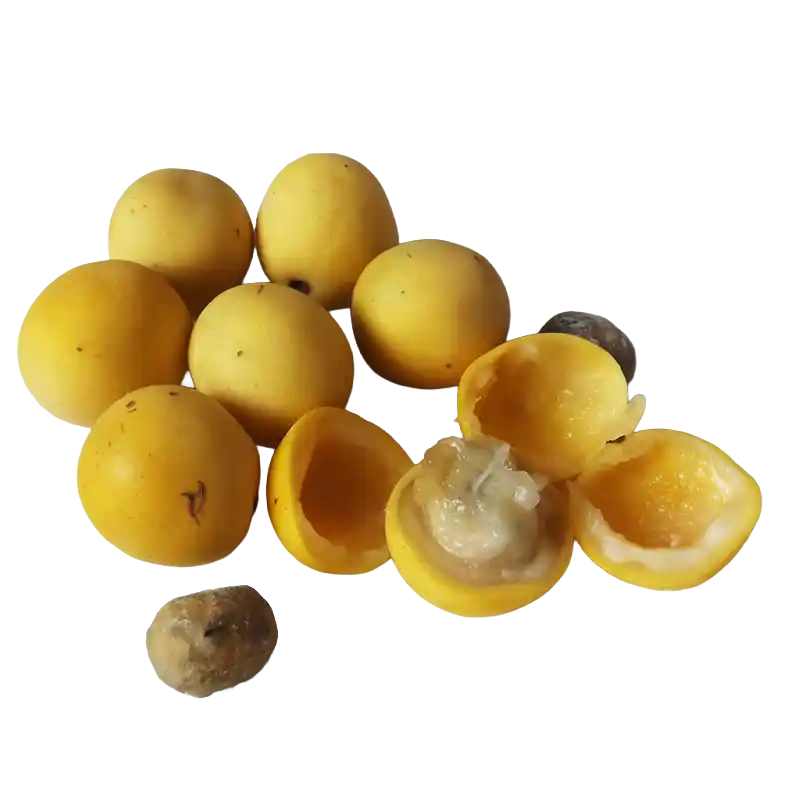 Marula