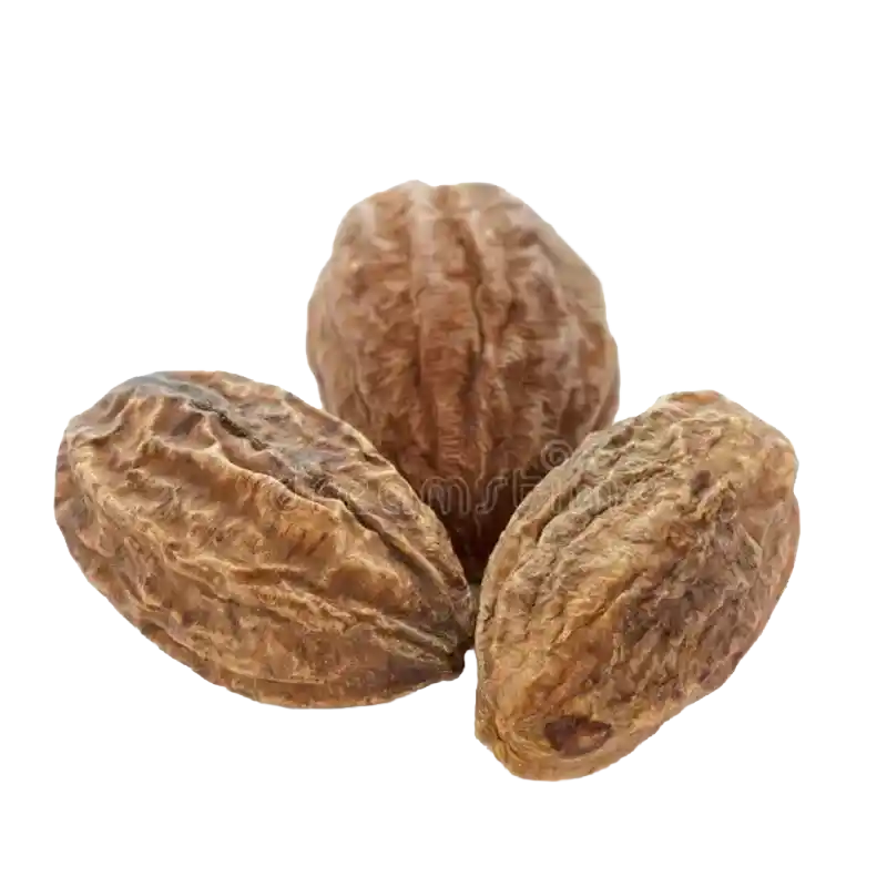 Terminalia avicennioides