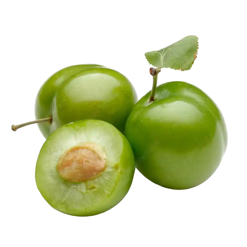 Sour Plum (Wild Olive)