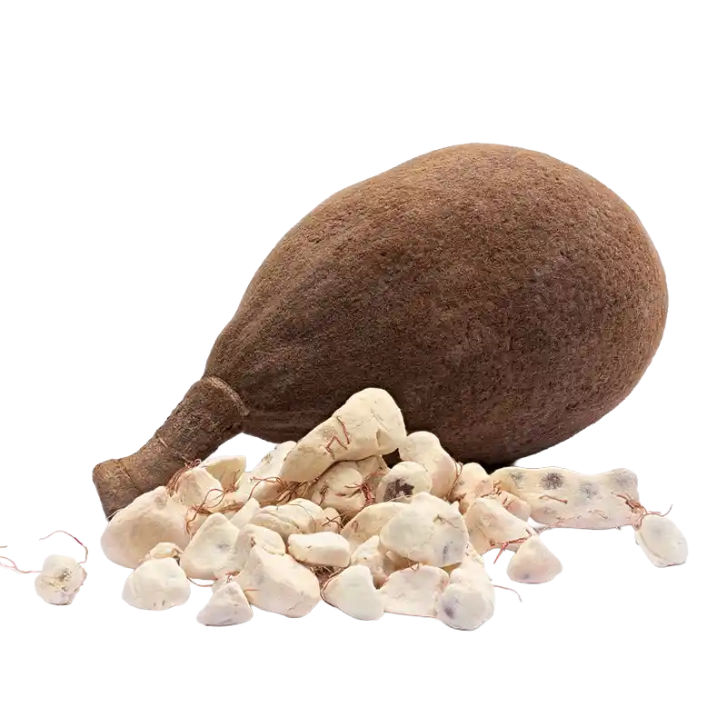 Baobab