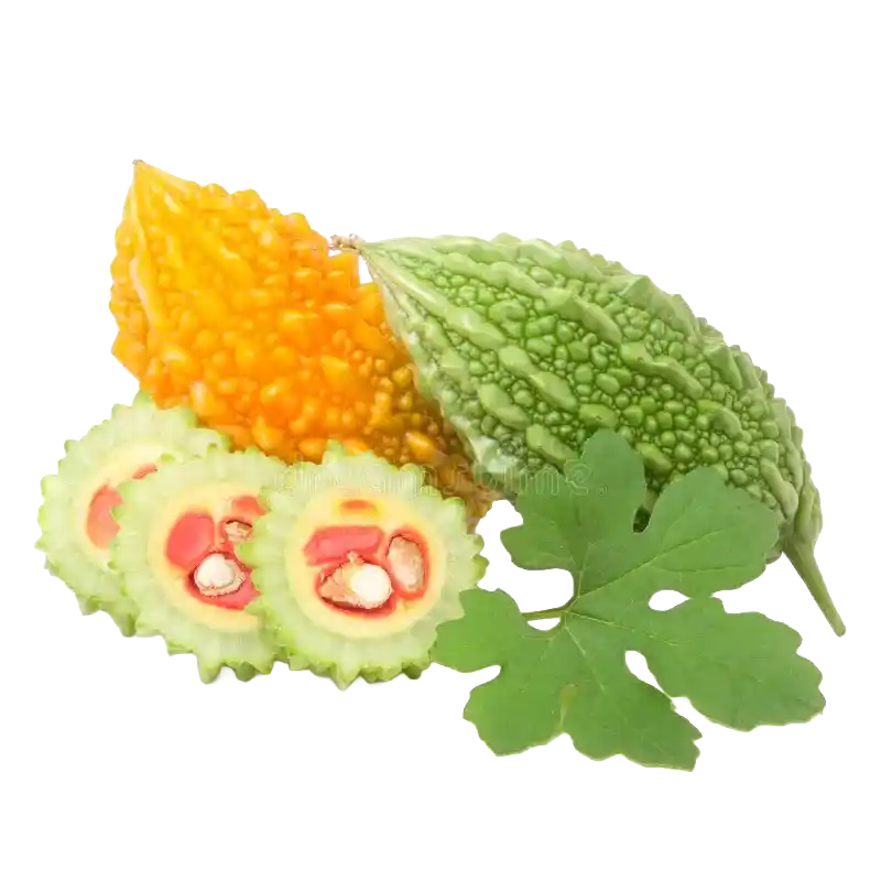 Wild Balsam Apple