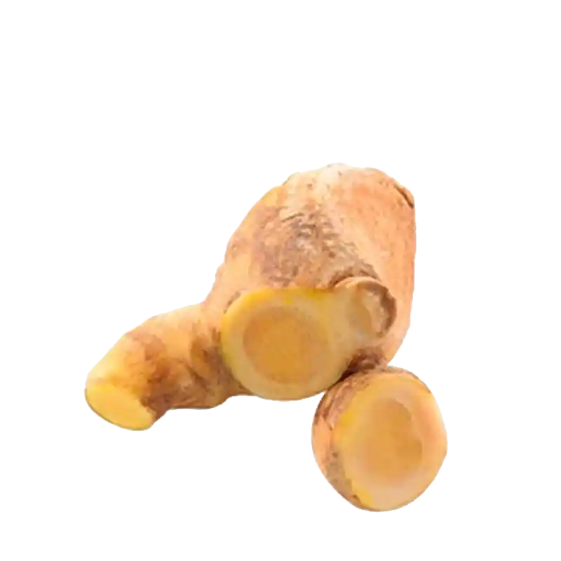 Plai (Cassumunar Ginger)