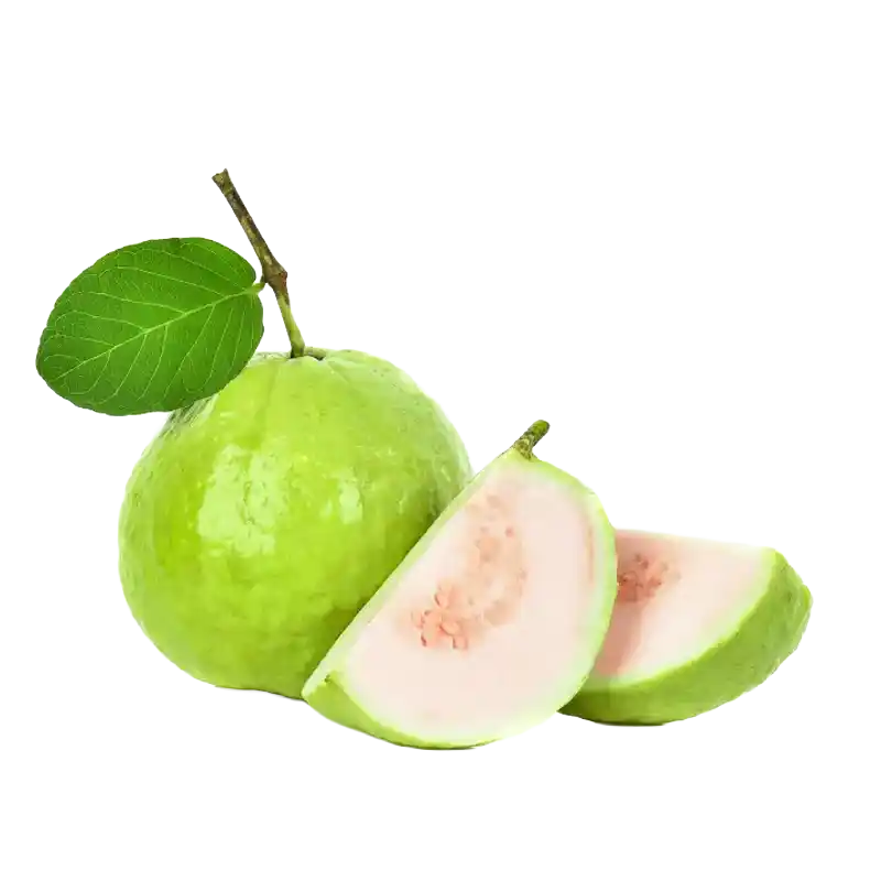 Guava