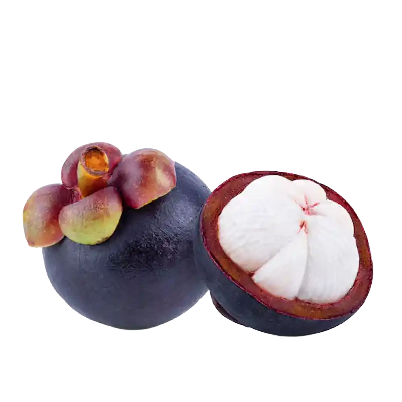 Mangosteen