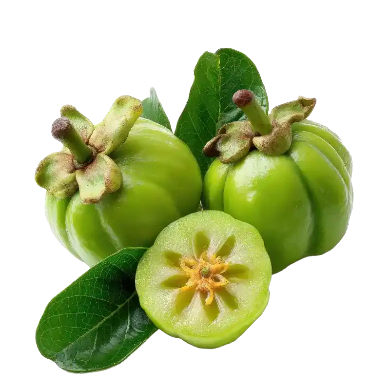 Asam Gelugur (Garcinia atroviridis)
