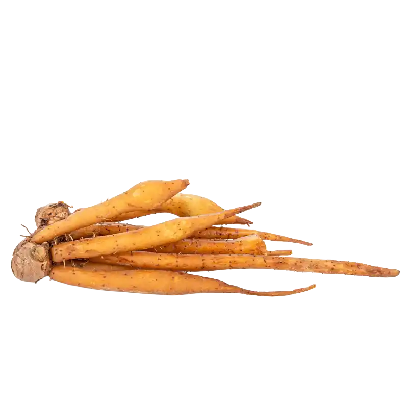 Fingerroot (Chinese Keys)
