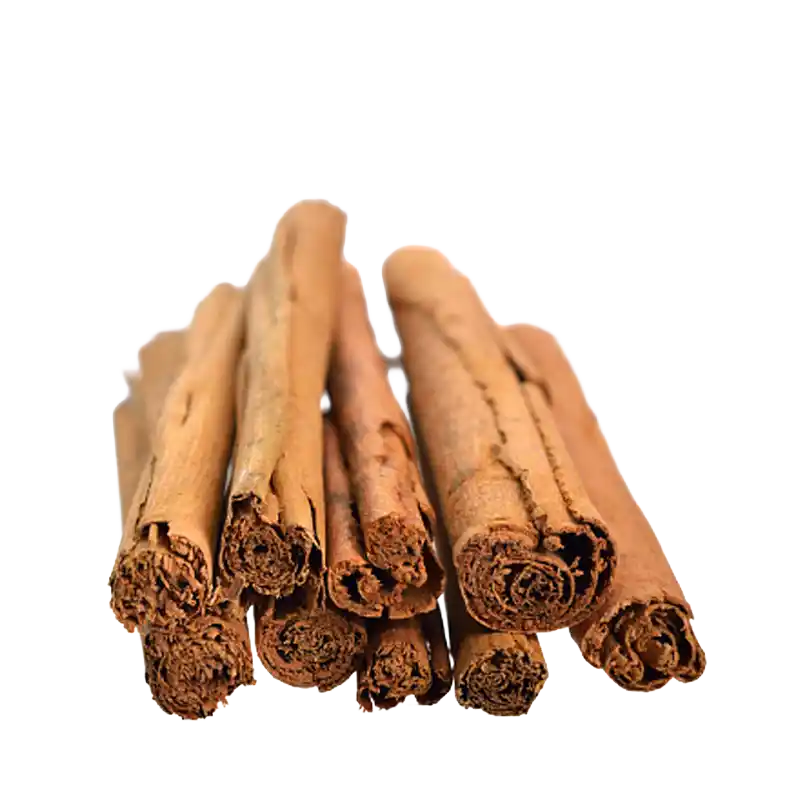 Wild Cinnamon (Clove-leaf)
