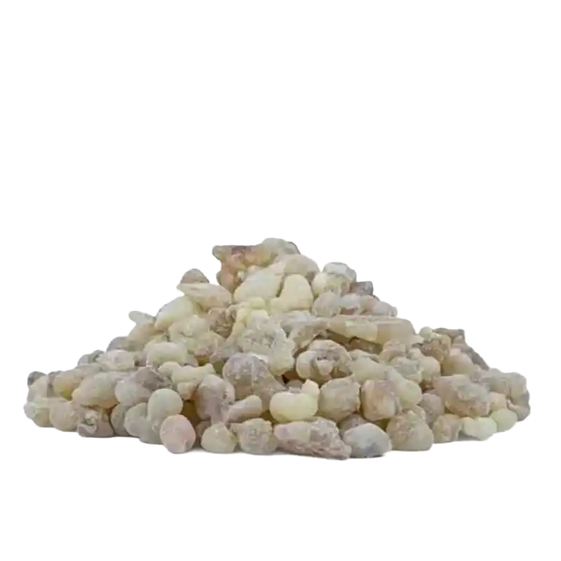 Frankincense (Sacred Boswellia / Luban)
