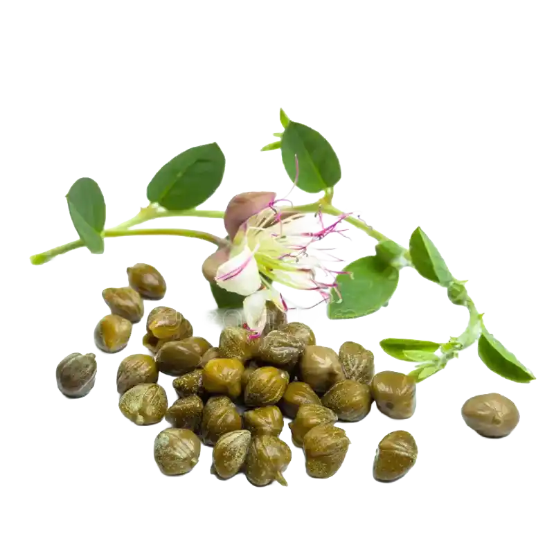 Karira (Leafless Caper)