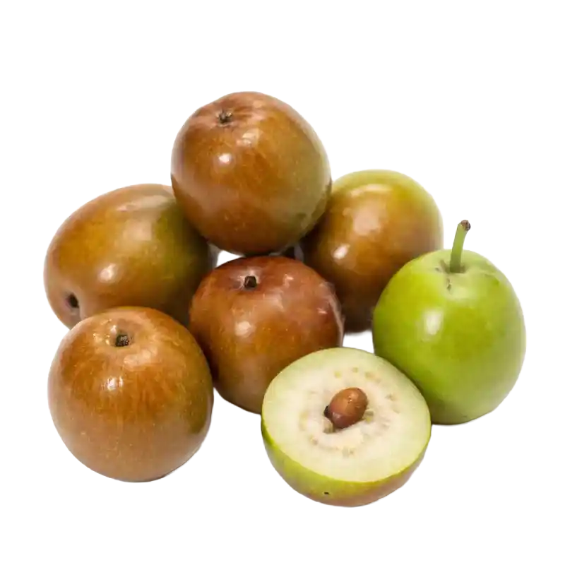 Indian Jujube (Ber / Sidr)