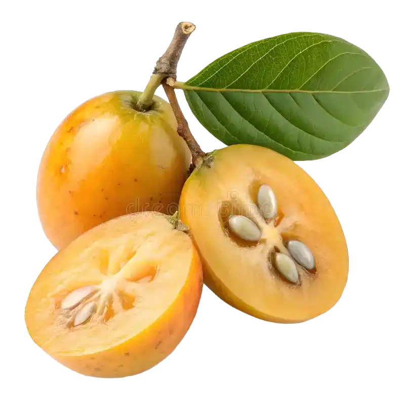 Sourplum (Large Sourplum)