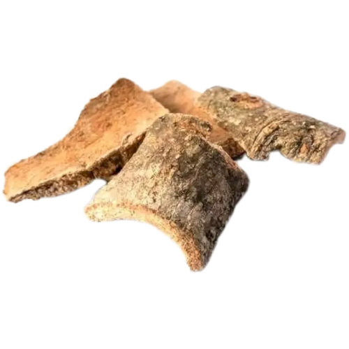 Varuna