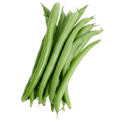 French Bean