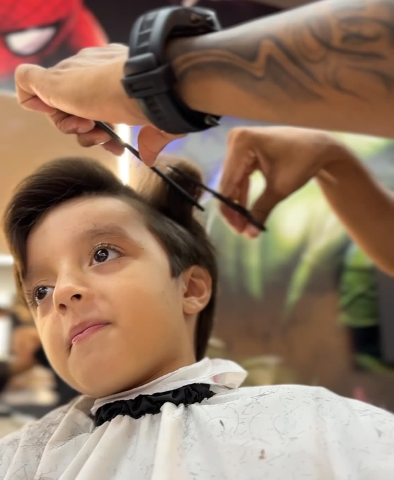 Corte Tesoura
