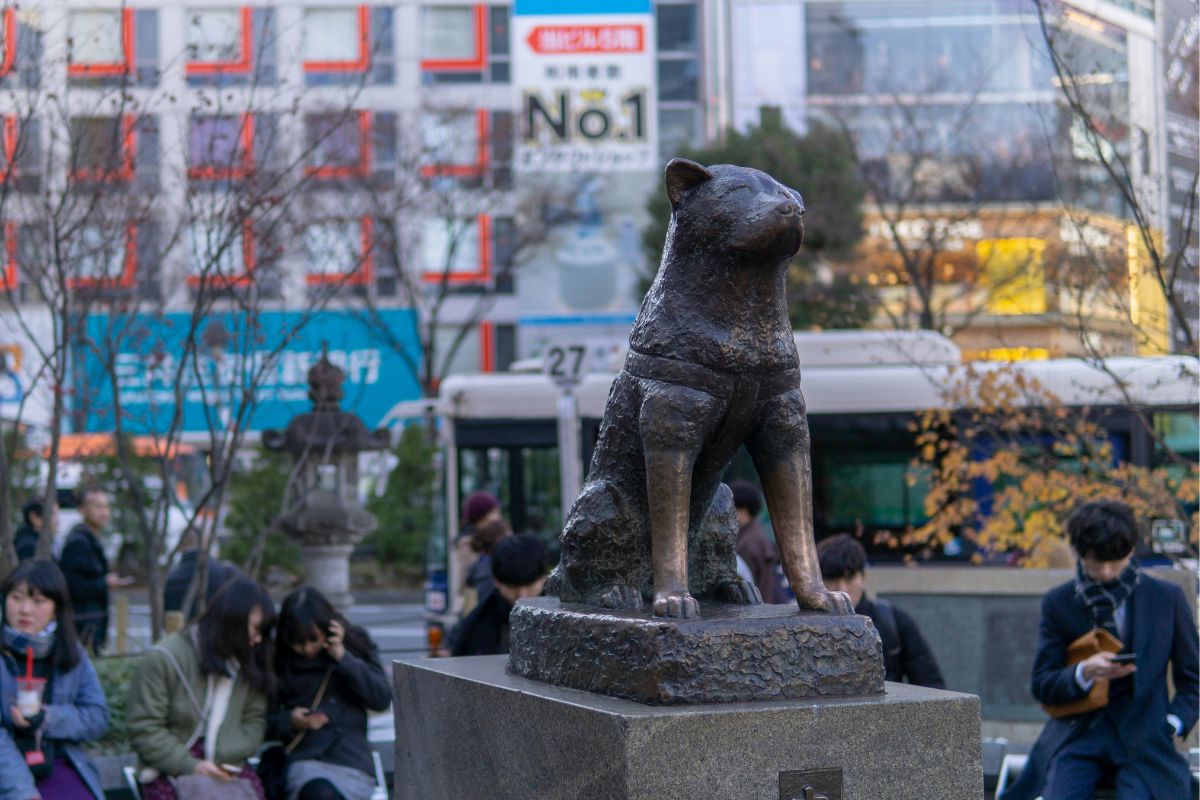 รูปปั้นฮาจิโกะ